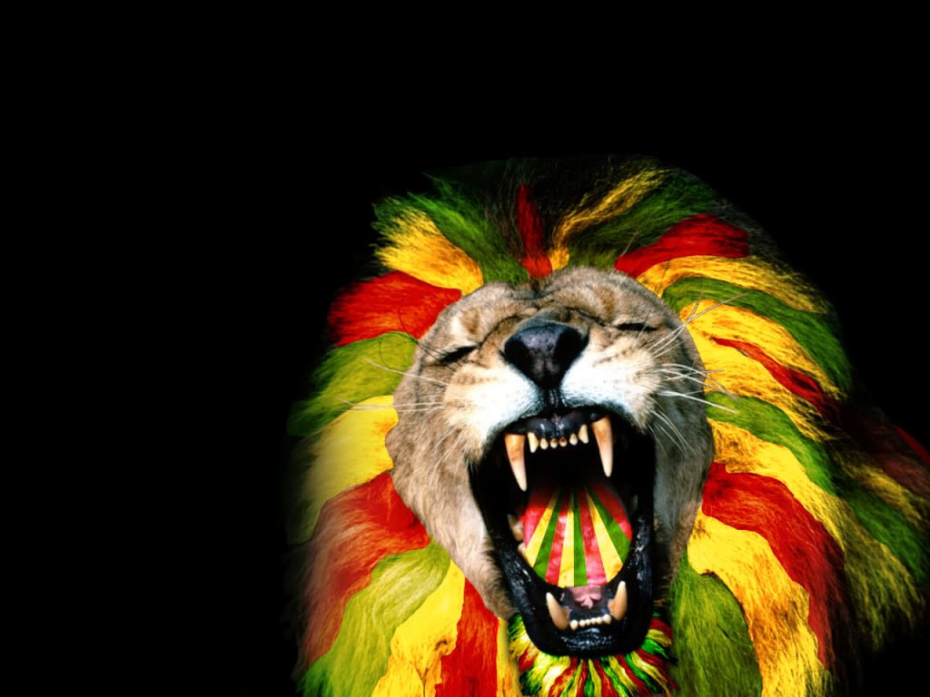Download Reggae Lion Wallpaper 1024x768 Wallpoper 247963