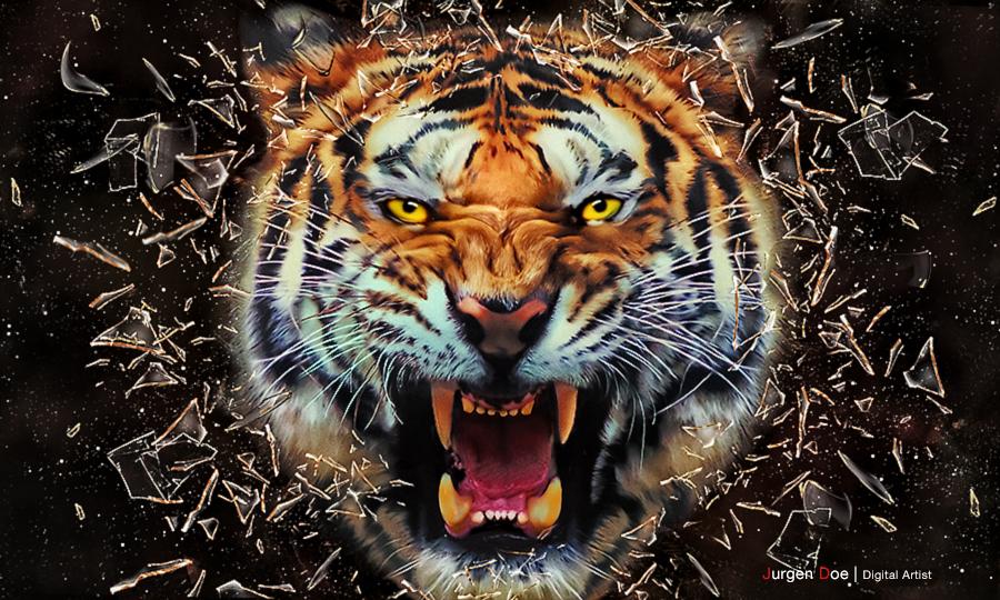 Angry Tiger by Jurgen Doelle   Photoshop Creative