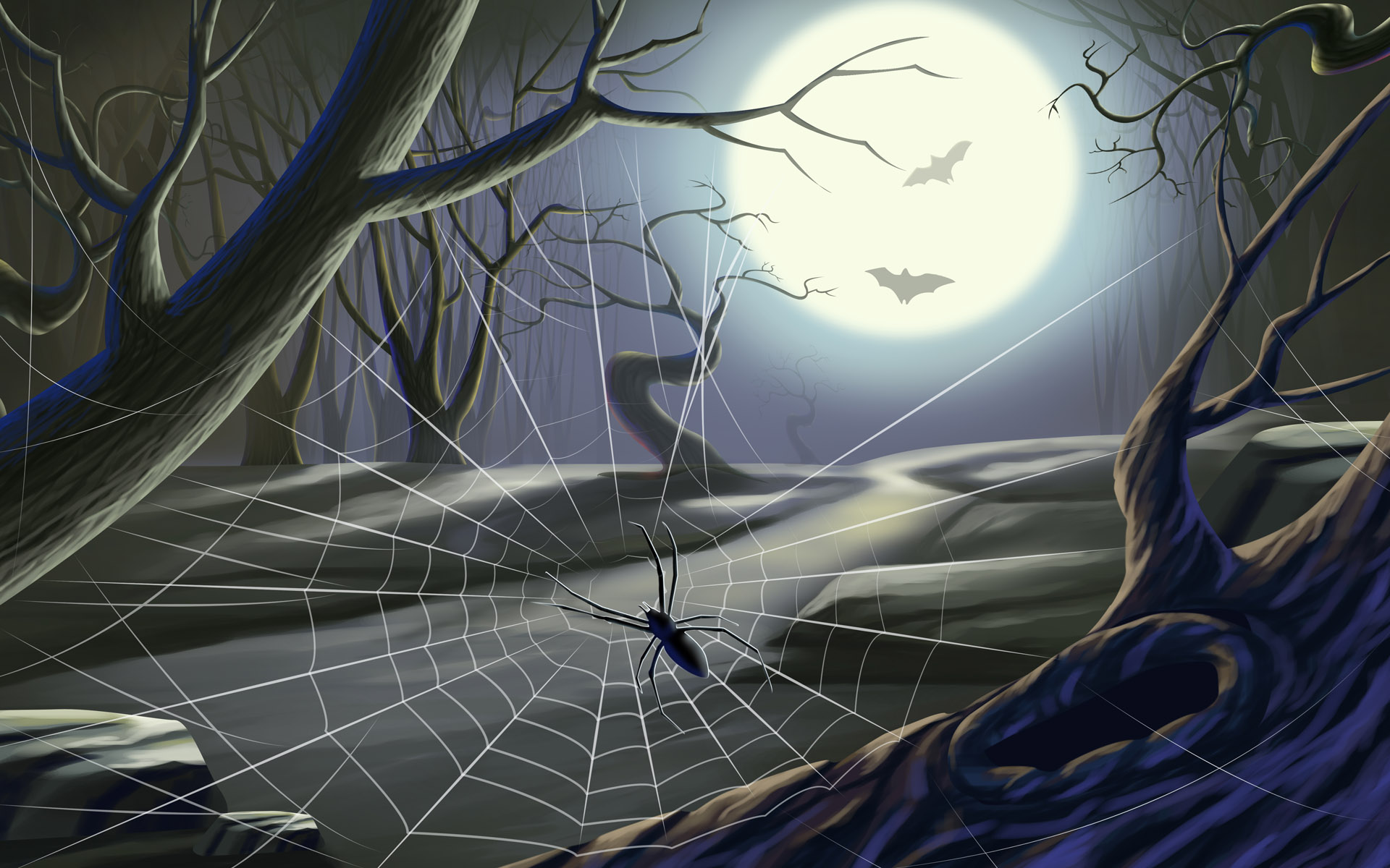 Spider Web Wallpapers - Wallpaper Cave
