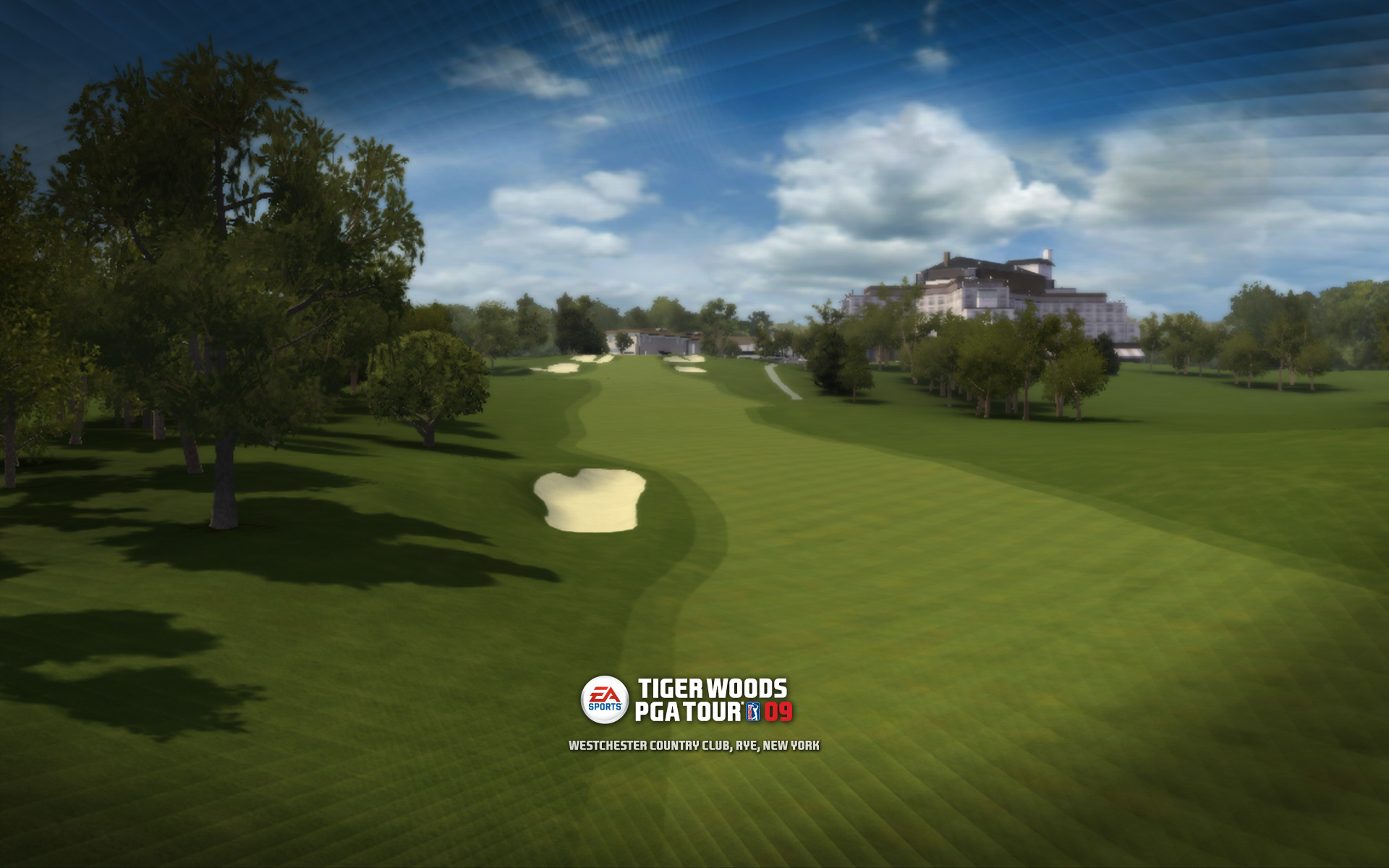 Artworks Tiger Woods PGA Tour 09