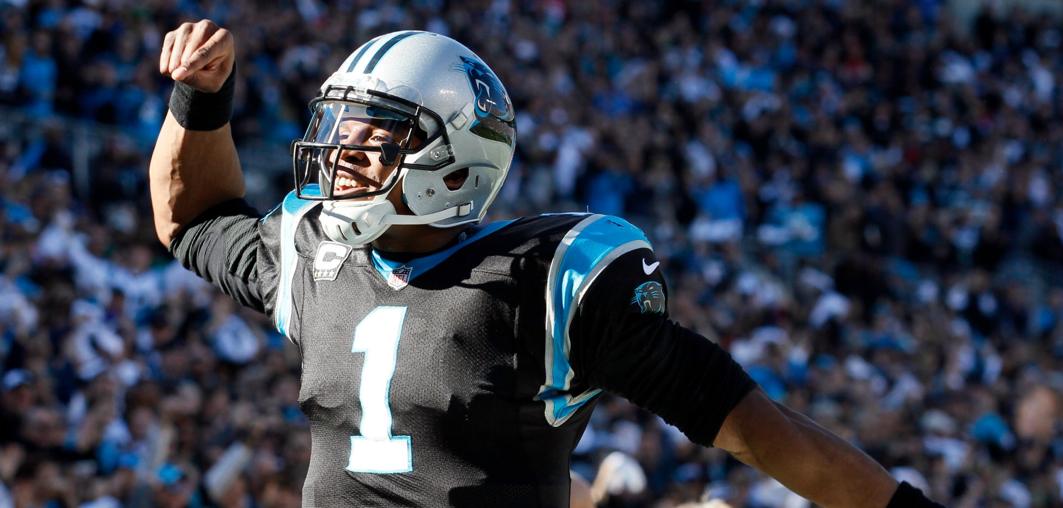 cam newton panthers 2015 hd