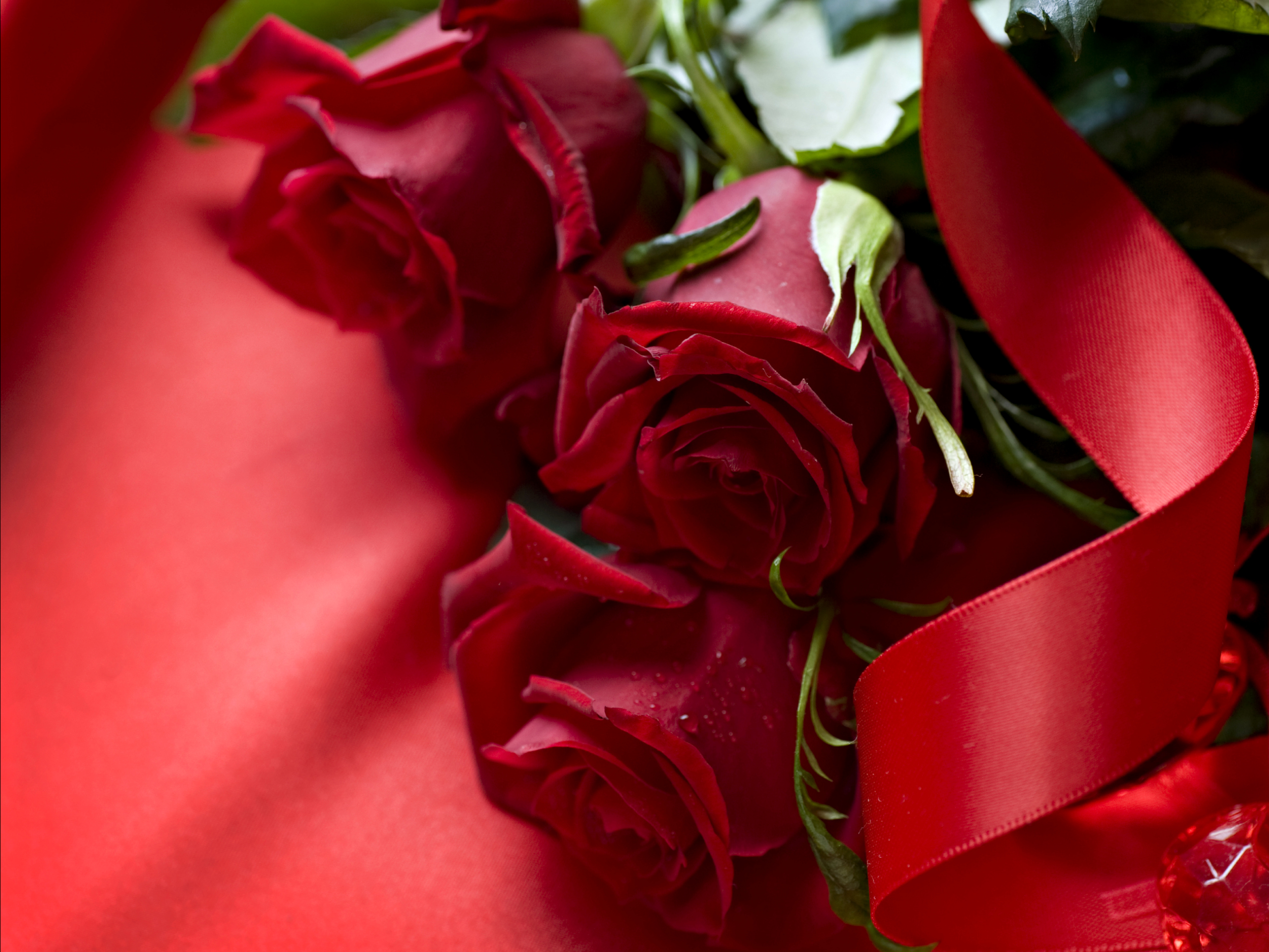 Beautiful 3d Red Rose Wallpaper Desktop HD