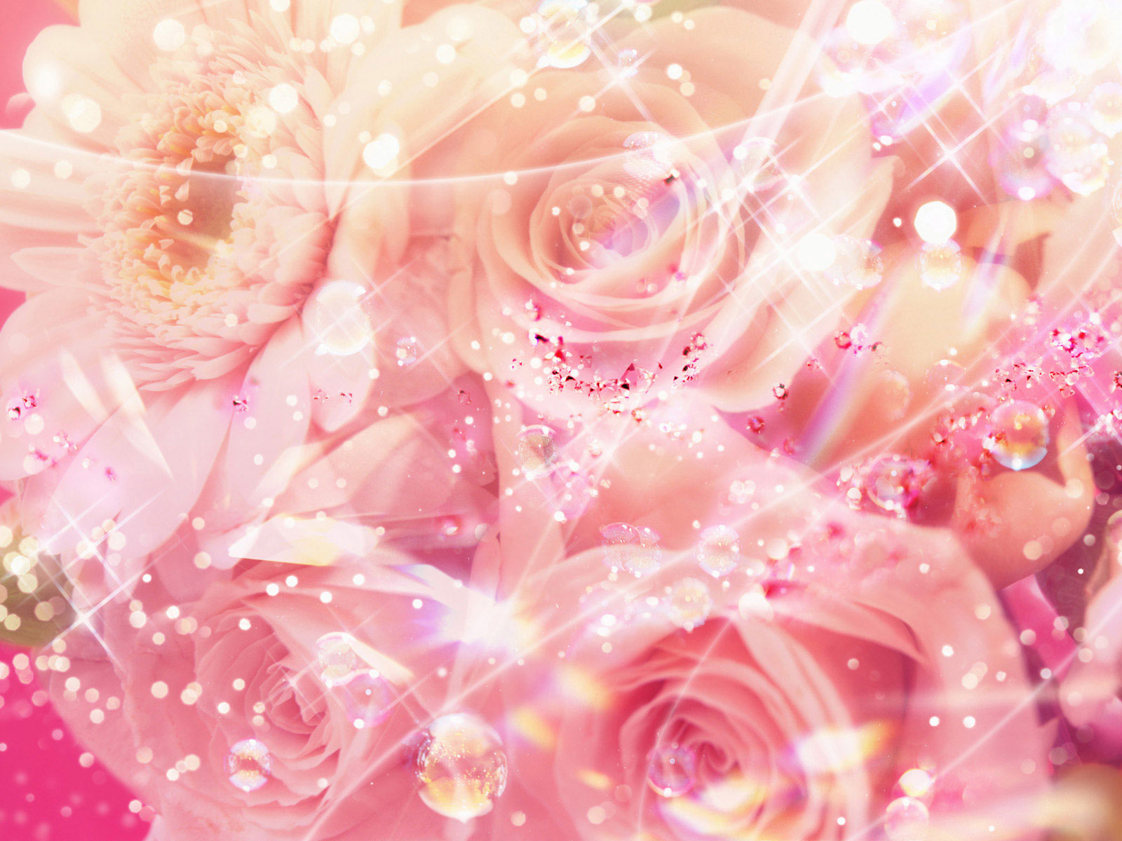 Pretty Pink Roses Wallpaper Color Photo