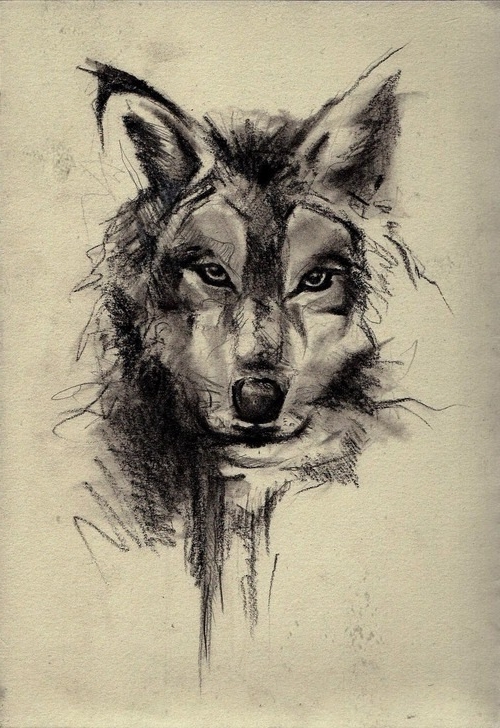 Free download Wolf Face Sketch Art Wallpaper 3D iPhone Wallpaper [500x728]  for your Desktop, Mobile & Tablet | Explore 95+ Wolf Face Wallpapers |  Smiley Face Backgrounds, Smiley Face Wallpapers, Smily Face Backgrounds