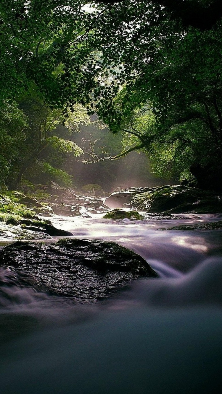 Flowing Forest River iPhone Wallpaper Ipod HD