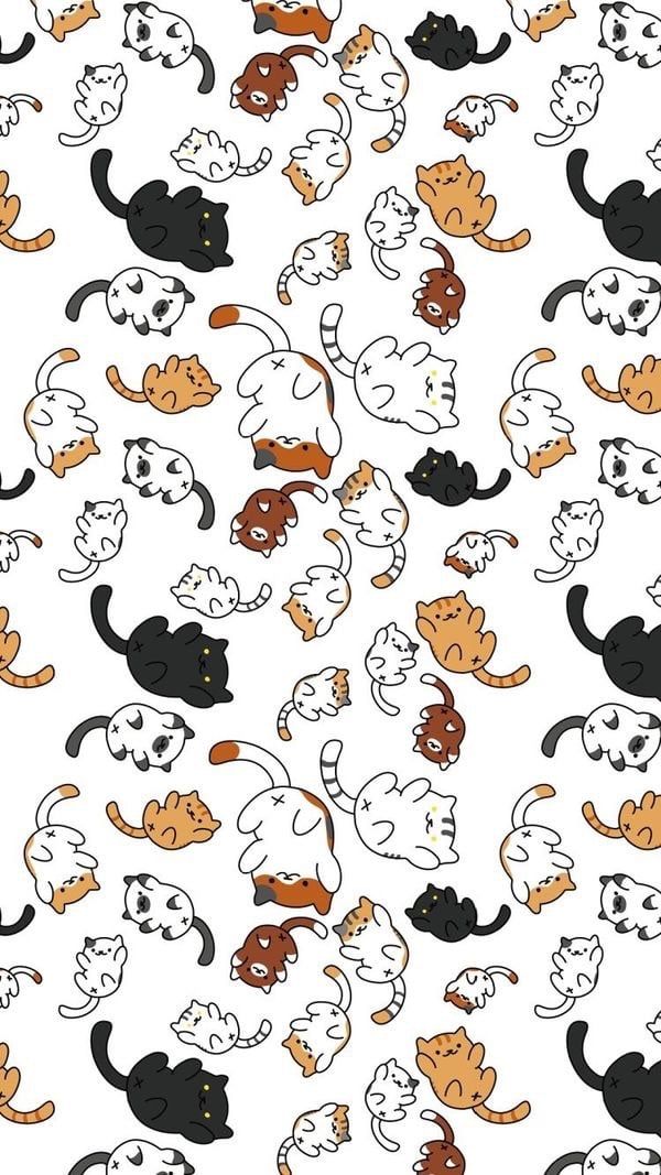 Cats Lovers Wallpaper Pets Cute Imagens Papel De
