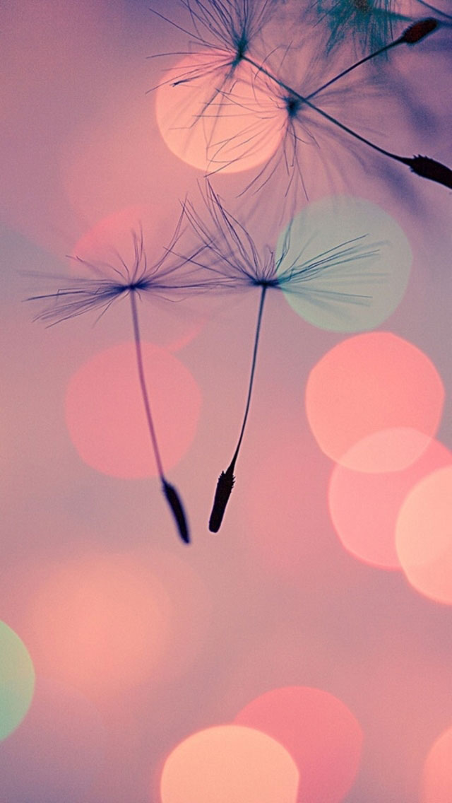 Most Demanding Retina Ready iPhone Wallpaper HD Background