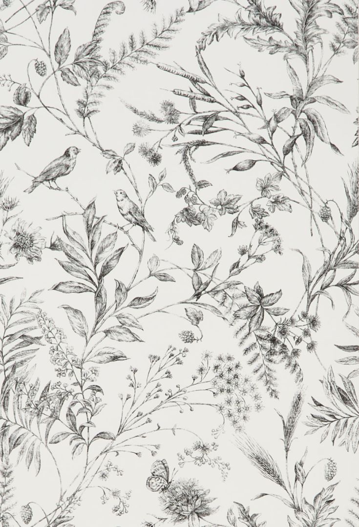 Fern Toile By Ralph Lauren Etched Black Prl710 Bird And