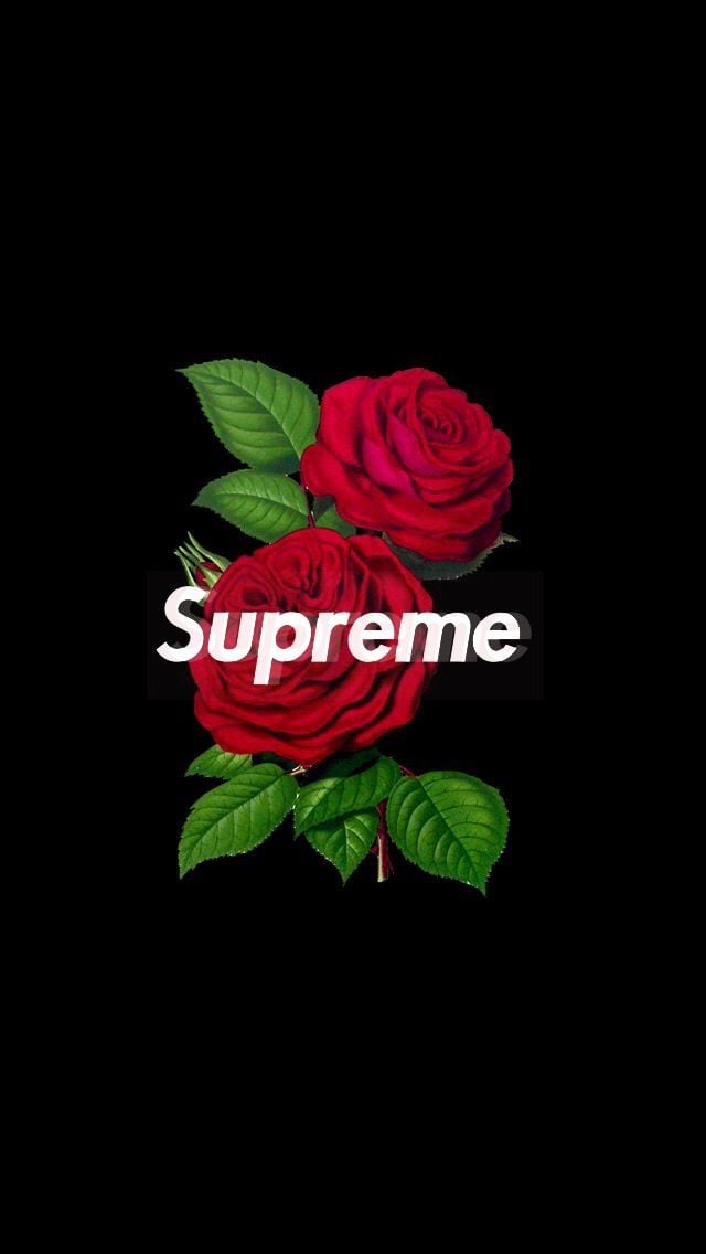 supreme rose wallpaper iphone 640x1136