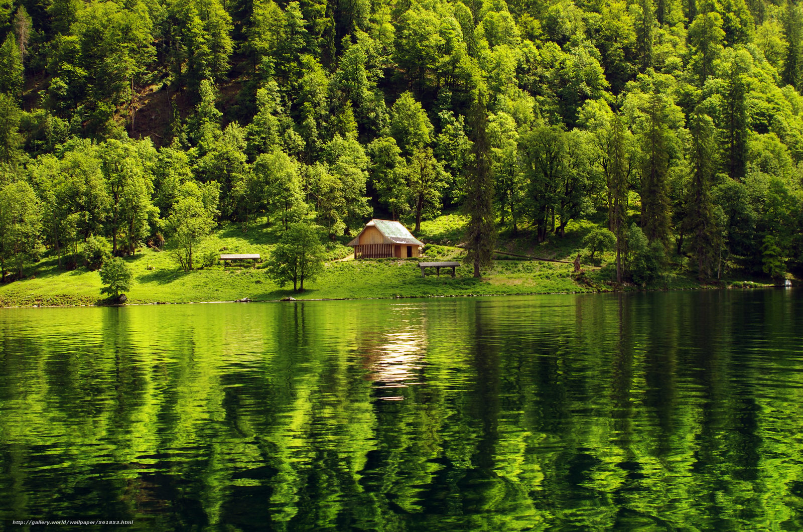 wallpaper forest lake cabin landscape free desktop wallpaper