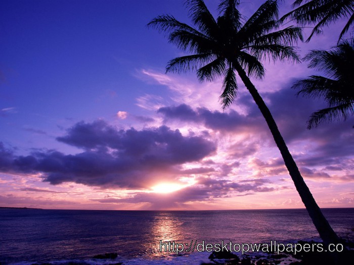 Tahiti Beach Wallpaper HD Desktop