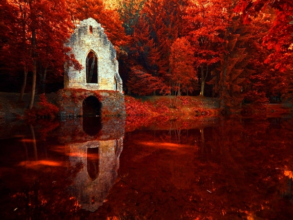 Nature Autumn Red France Lakes Wallpaper