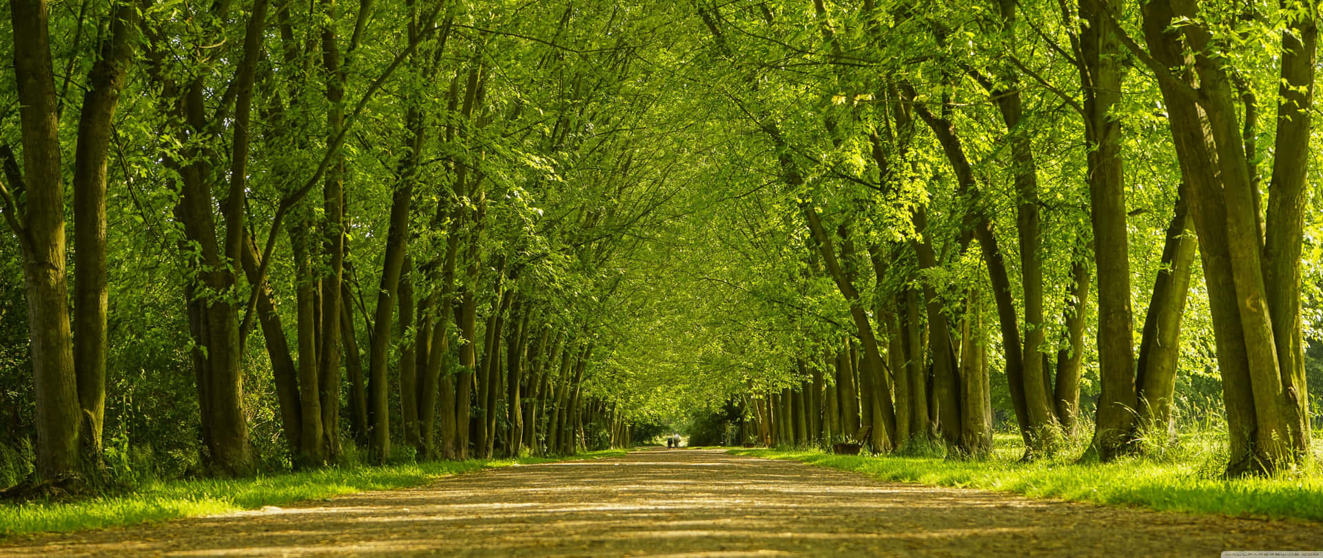 An Amazing Of Nature That Can Only Be Seen In Ultra Wallpaper