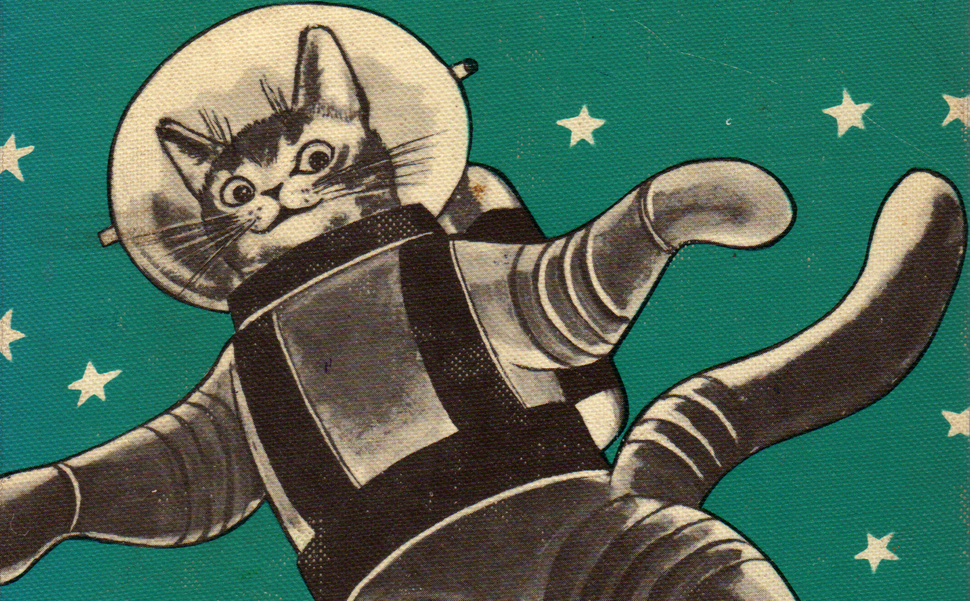Iran to launch first feline into space in 50 years all hail Space Cat