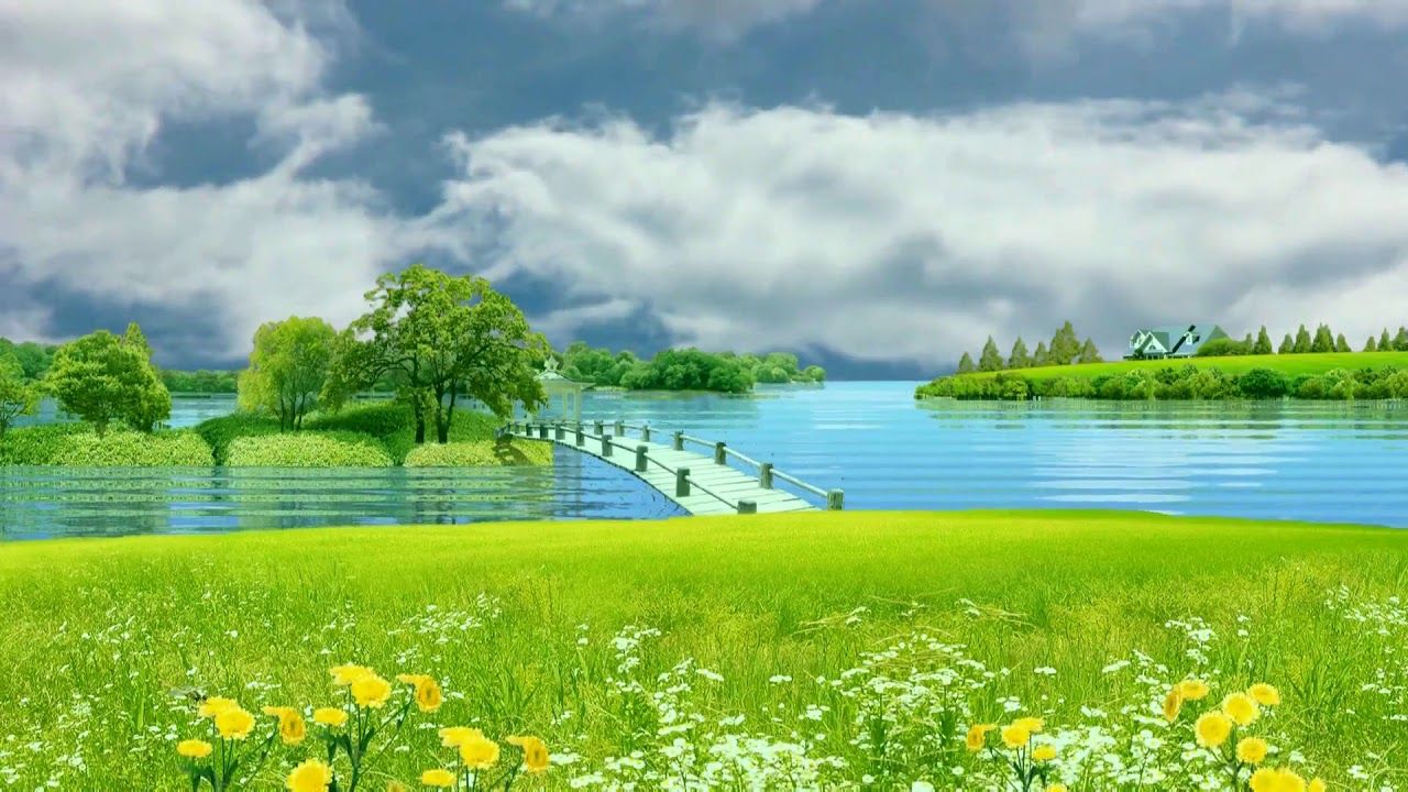 Beautiful Nature Background Landscape Lake Video