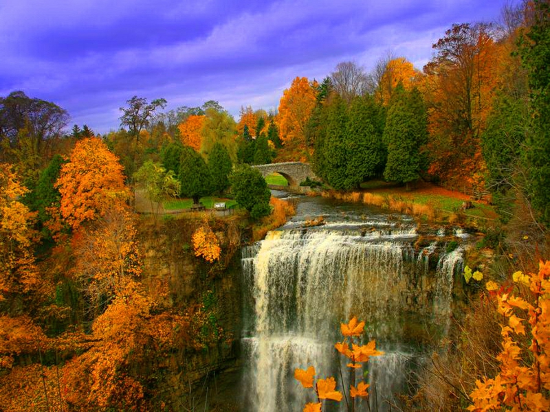 Autumn Bridge Fall Nature Other HD Desktop Wallpaper