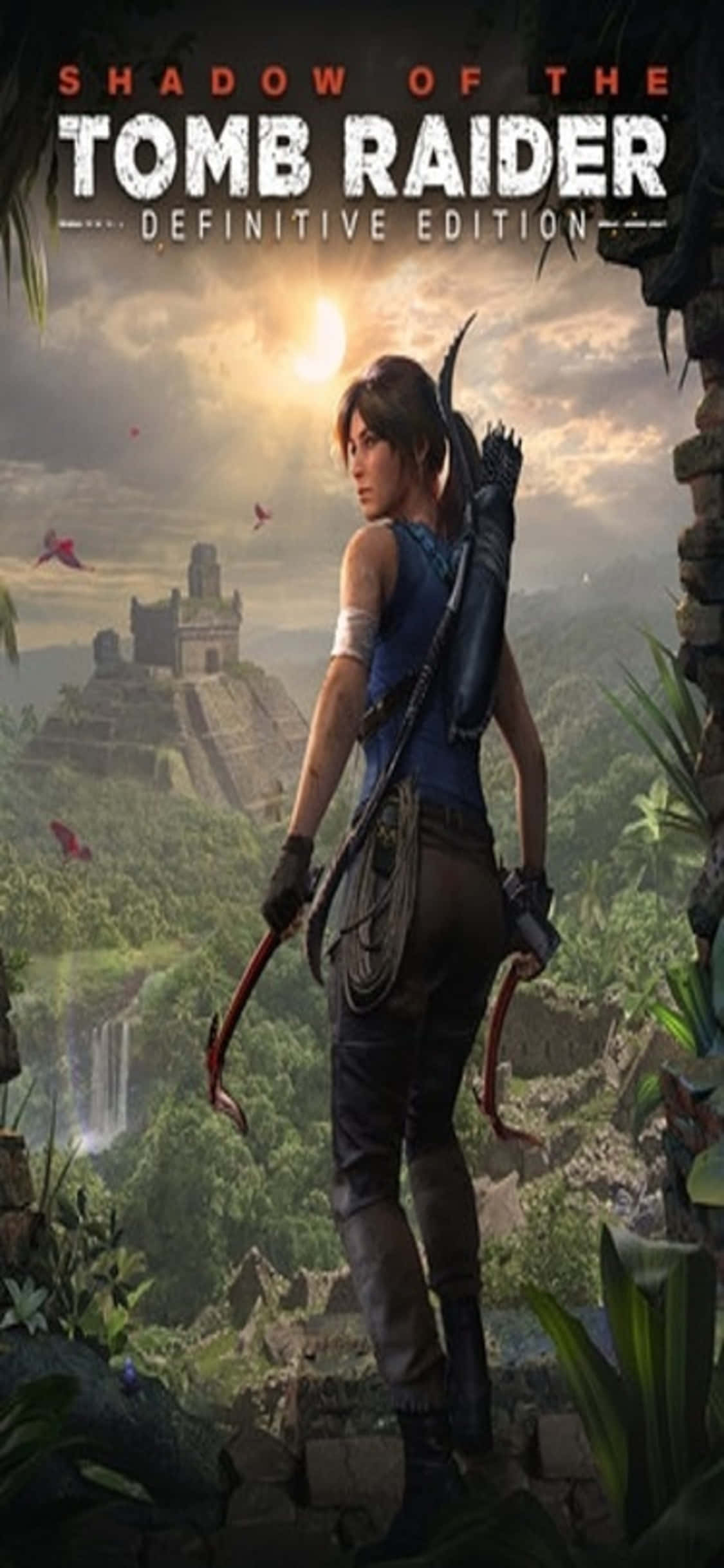 iPhone X Shadow Of The Tomb Raider Background Wallpaper