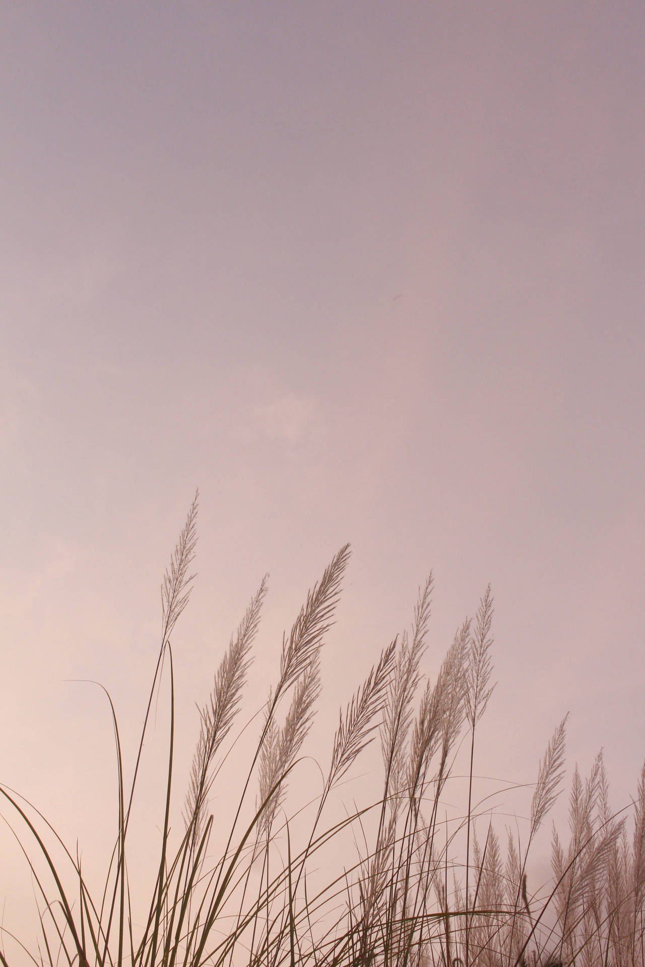 Top Girly Lock Screen iPhone Wallpaper Full HD 4k To Use