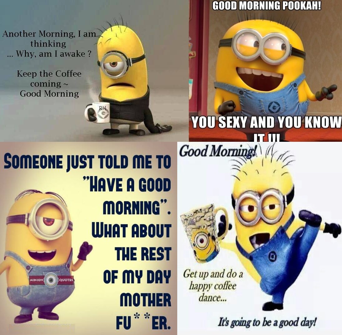 Free Download Funny Good Morning Picture Quotes Funny Pictures Jokes Cute  Love [1096X1075] For Your Desktop, Mobile & Tablet | Explore 50+ Funny Good  Morning Wallpaper | Good Morning Wallpapers, New Good