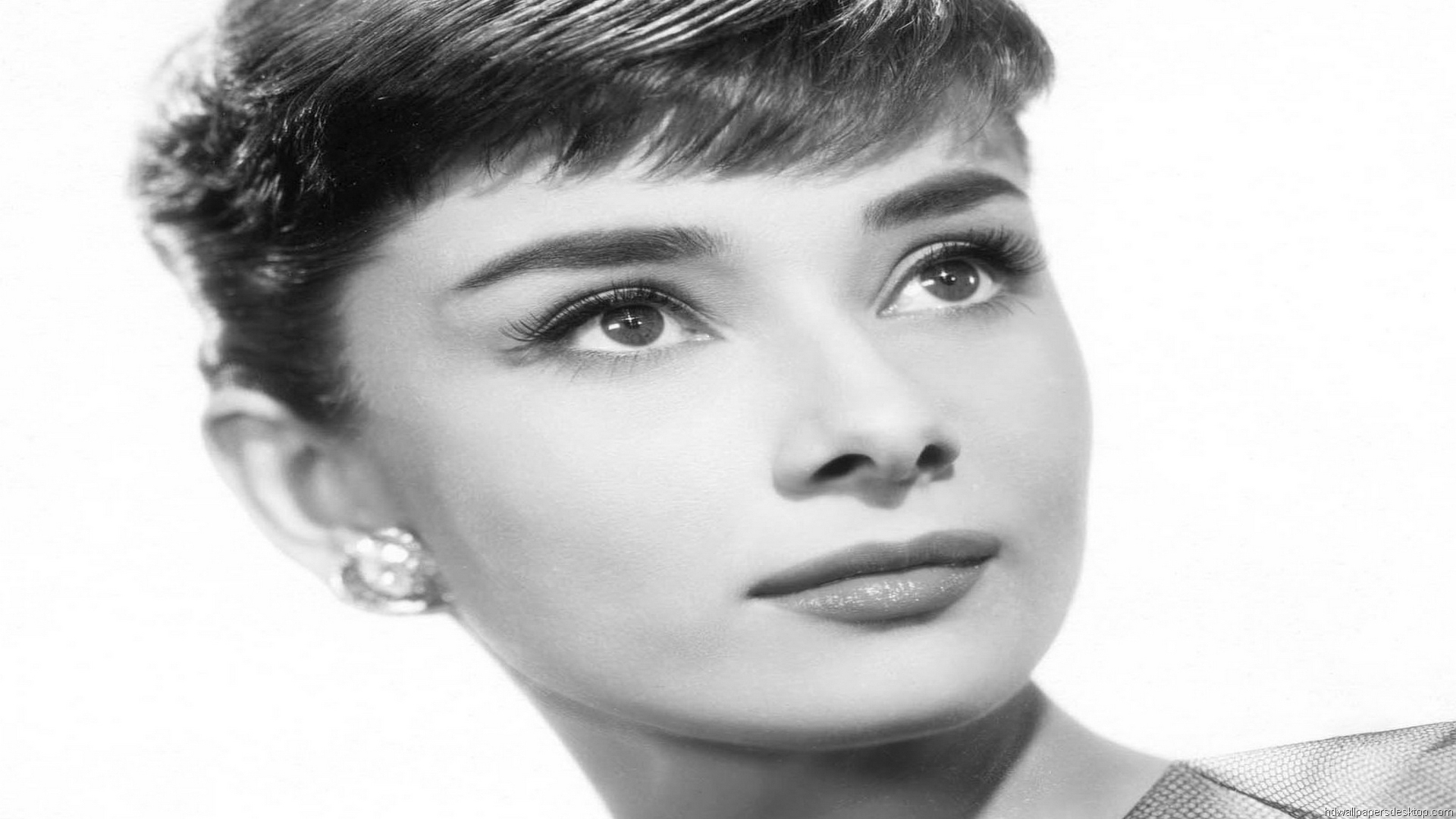 Audrey Hepburn Hd Wallpaper Photos Pictures Hdtv