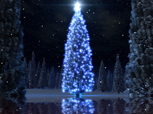User Res Of Christmas Tree Animated Wallpaper
