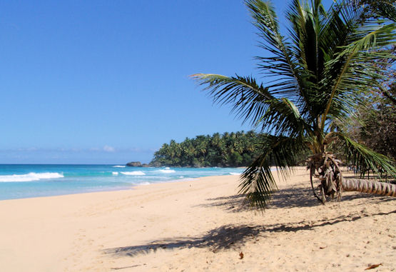 Buying Beach Front Properties In The Caribbean Real Estate