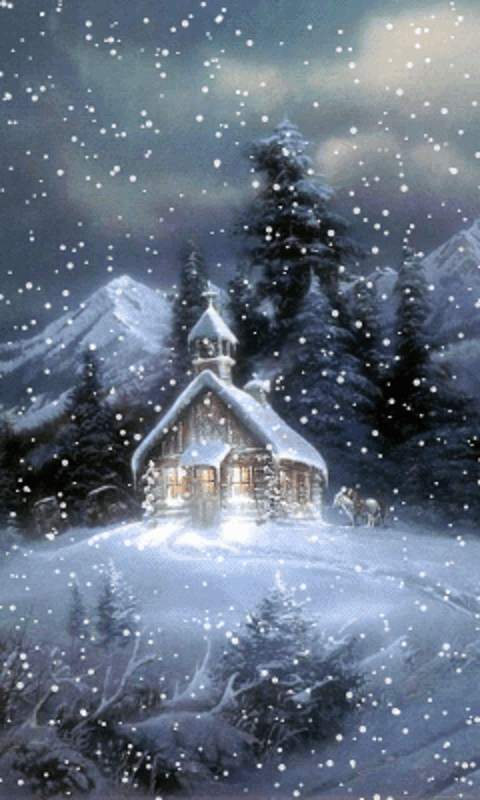 Winter Night Screensaver Wallpaper