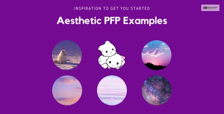Best Tiktok Pfp Ideas Wallpaper