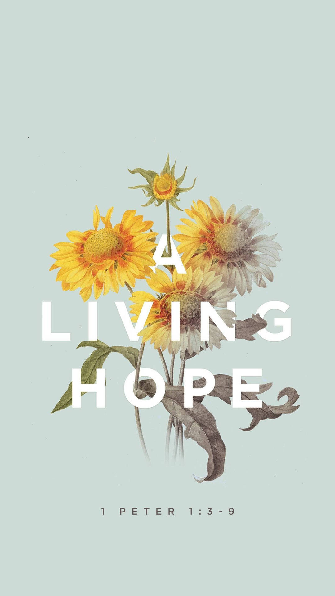 Bible Verse Aesthetic Background Wallpaper