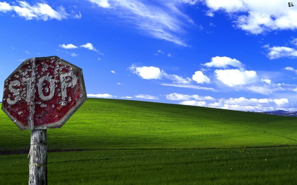 Nature Windows Xp Microsoft Wallpaper