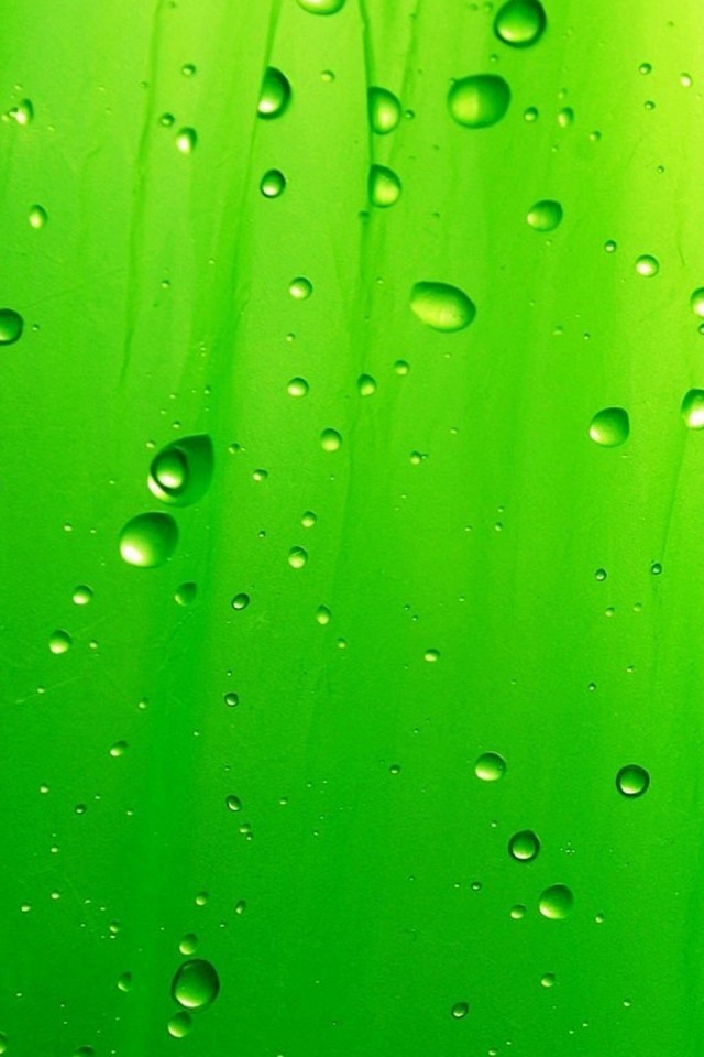 Green Raindrops Wallpaper For Iphone 4 photos of Wallpapers for iPhone