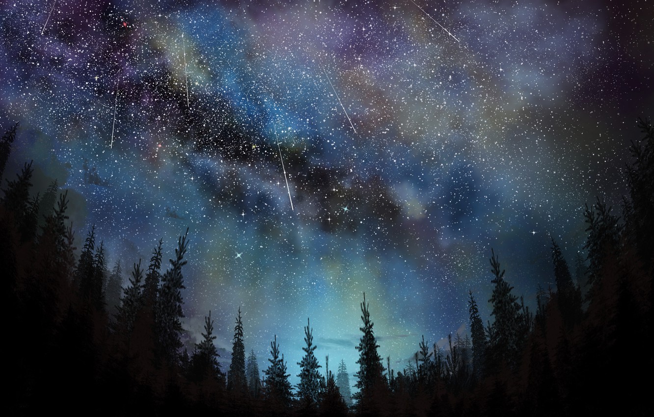 Wallpaper The Sky Night Ate Starfall Tea Taster Image For