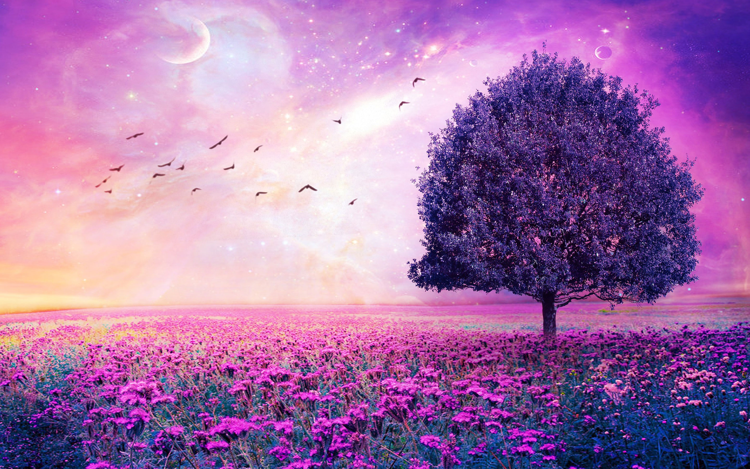 Purple Flowers Field Art Tree HD Wallpaper
