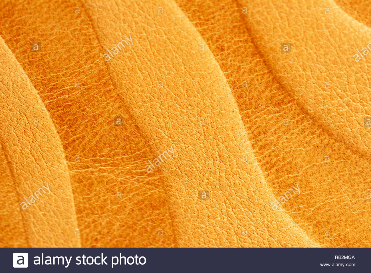 Texture Of Golden Yellow Genuine Leather Close Up With Embossed