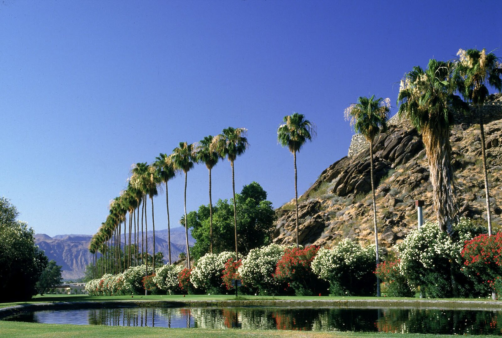Tourism Palm Springs California