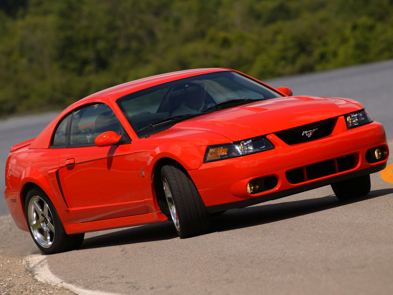Related Pictures Svt Mustang Cobra Coupe Wallpaper Car And