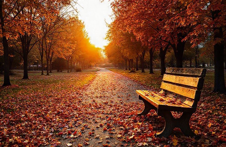 Autumn Wallpaper