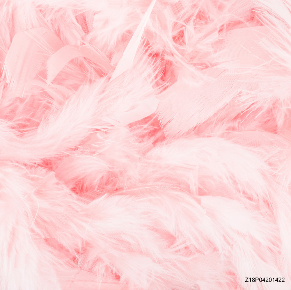 Life Magic Box Pink Feather Photoshoot Background Studio