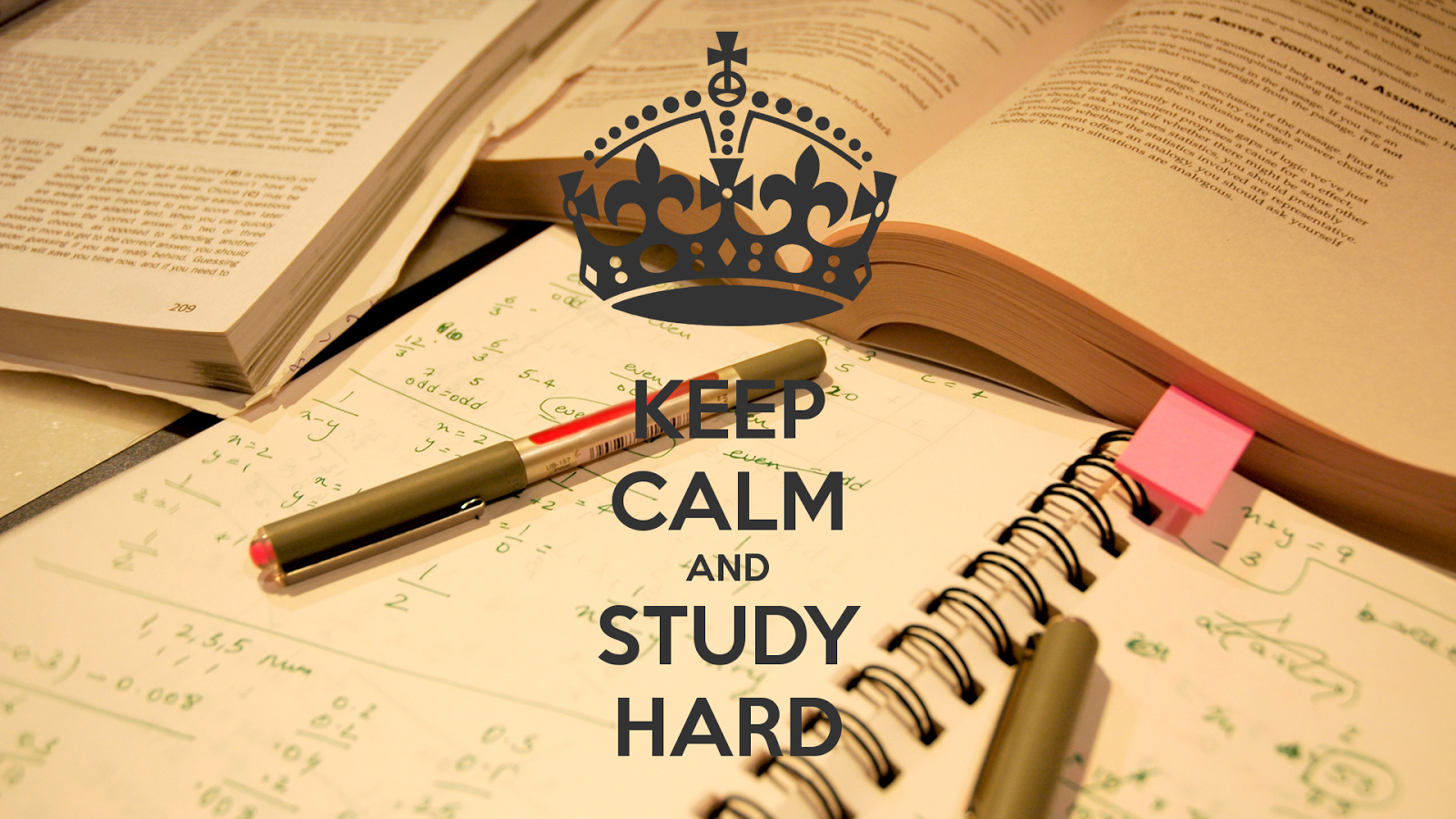 The Business Student Keep Calm And Study Hard