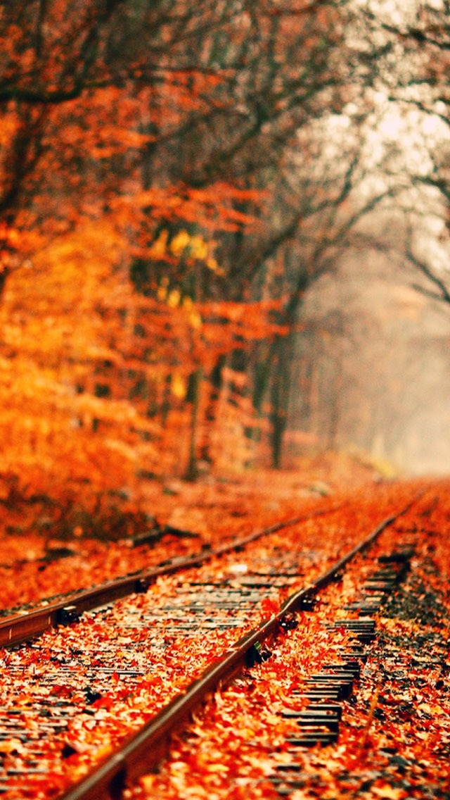 Abandoned Railroad Tracks In Autumn Wallpaper iPhone
