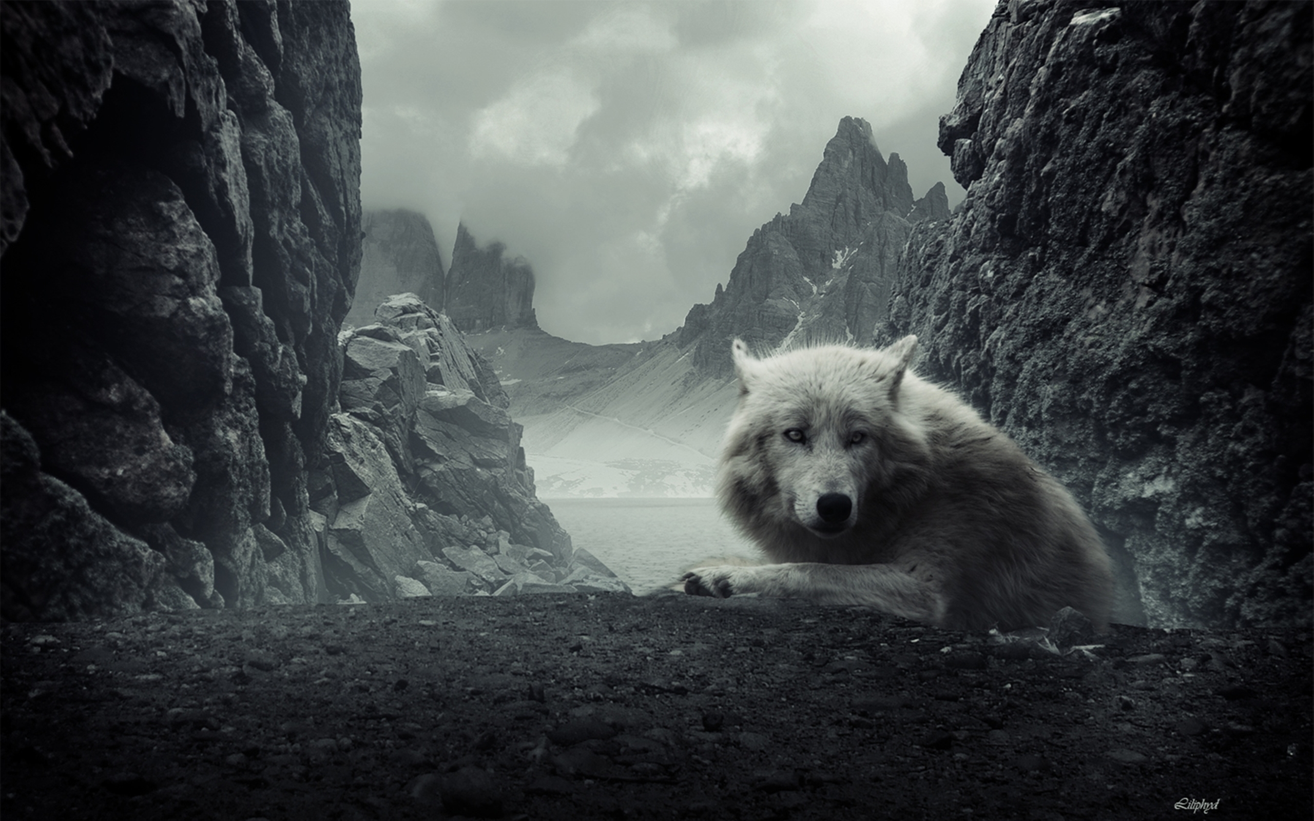 A majestic white wolf rests on the dark ground, with towering, misty mountains and a serene lake in the background