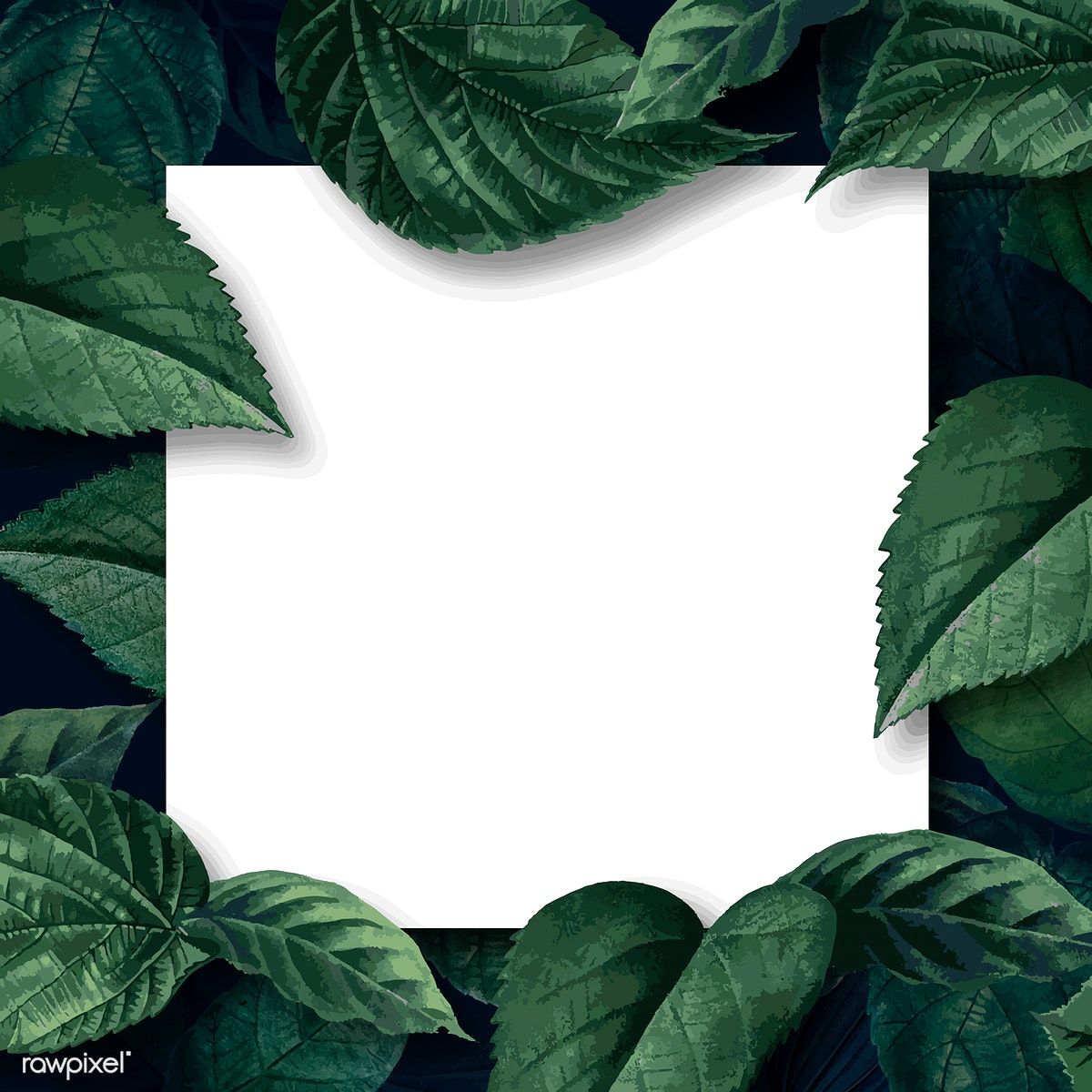 White Square Poster On A Leafy Background Vector Image By