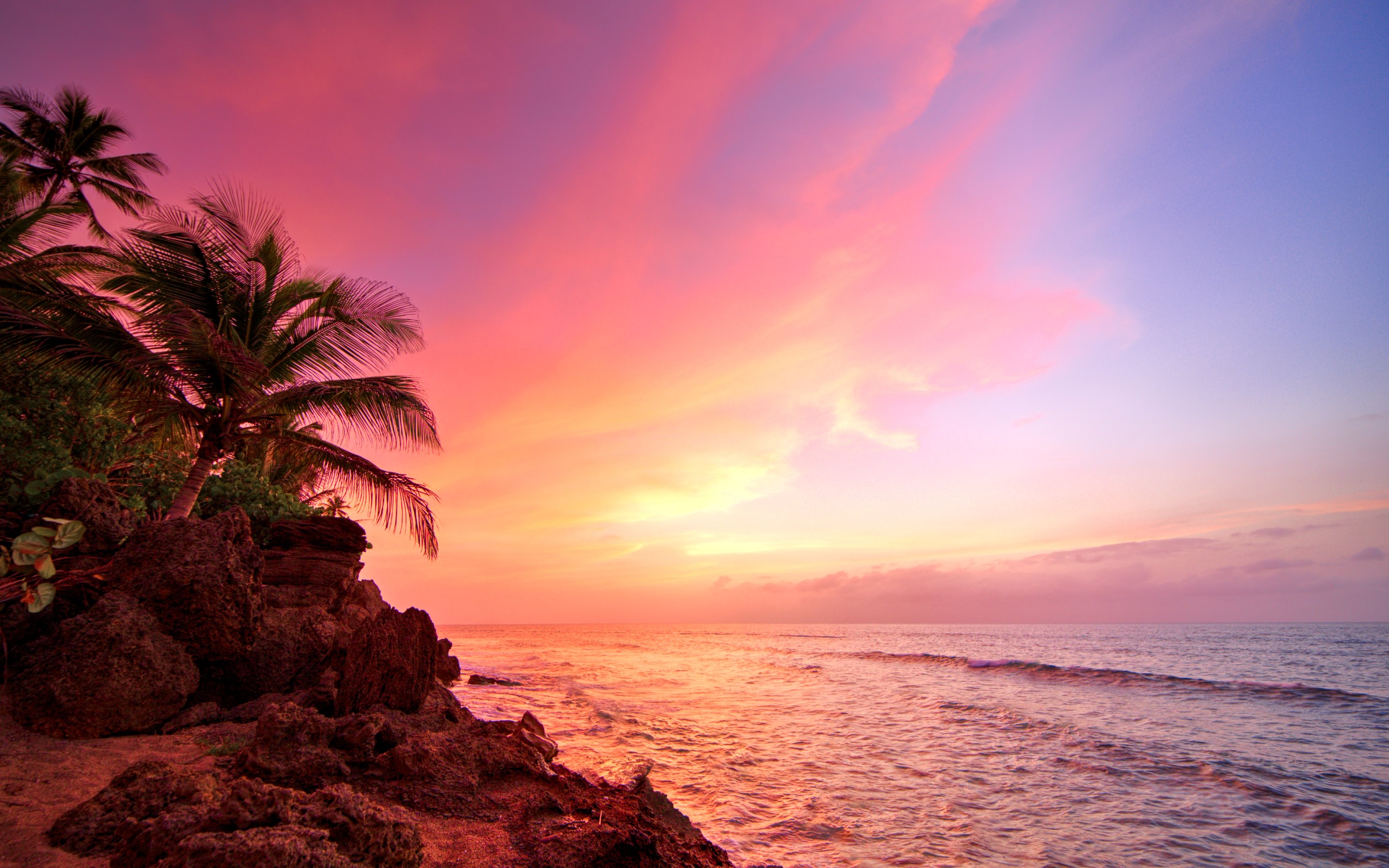 Puerto Rico Rincon Sunset Ocean Palms Wallpaper HD