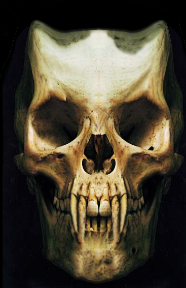 Pin Skulls Vampires Skull Vampire Desktop HD Wallpaper