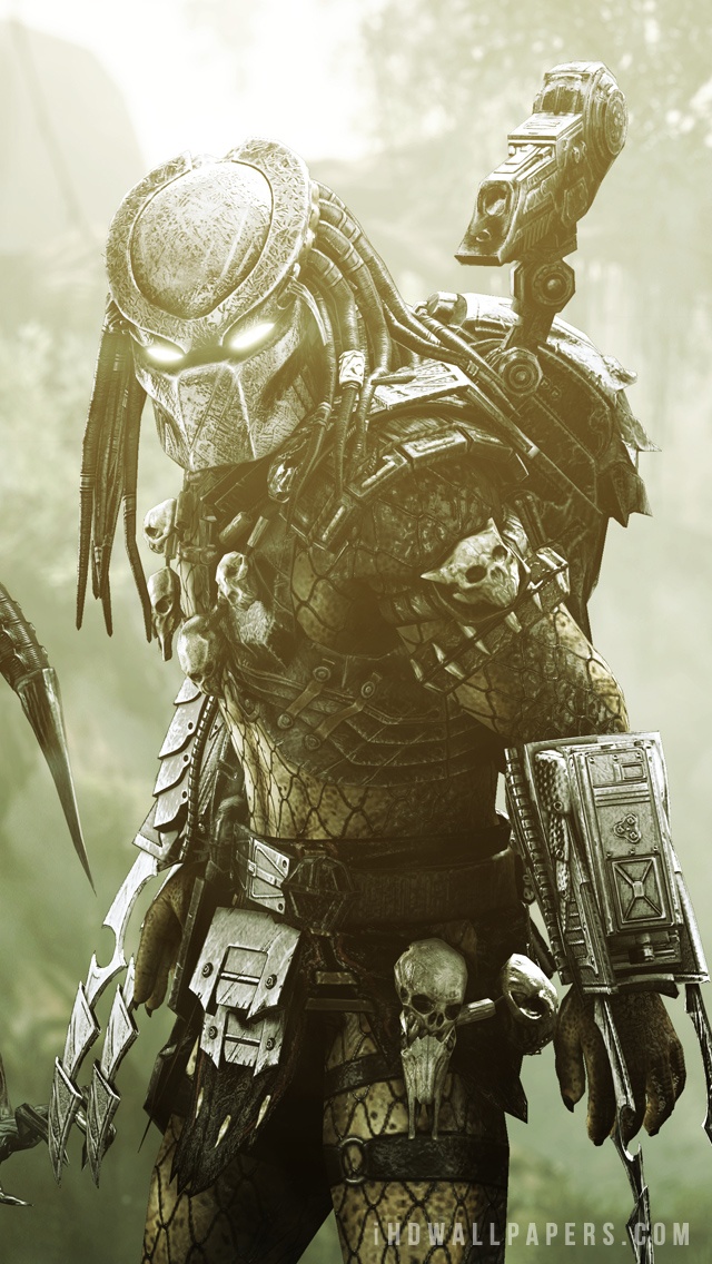Predator HD Wallpaper Background Alien Vs