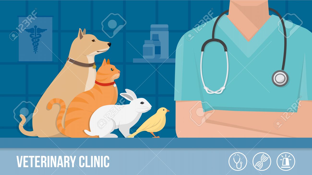 Veterinary Clinic Banner With Dog Cat Rabbit Bird And Vet