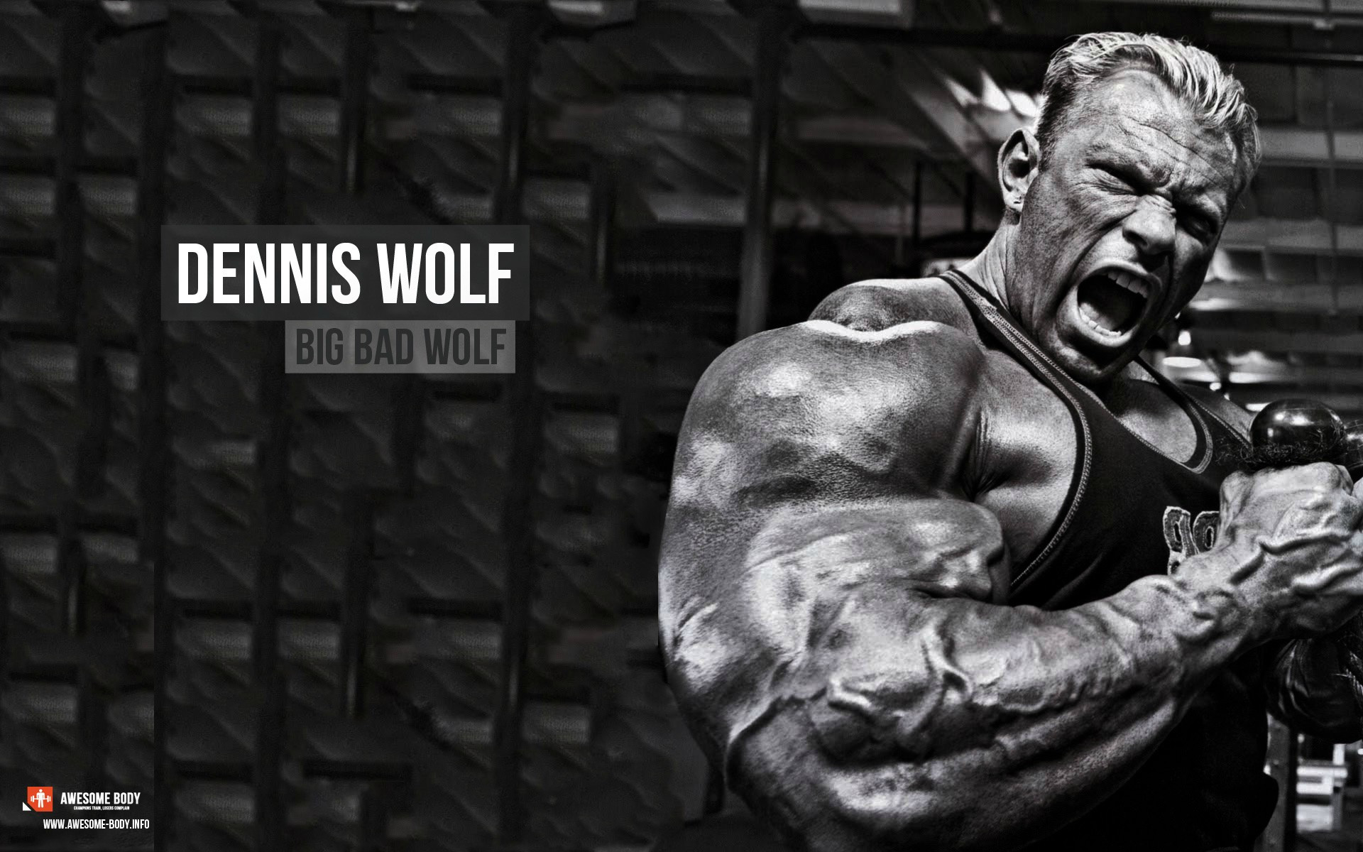 Dennis Wolf HD Wallpaper The Big Bad Ifbb Pro Bodybuilder