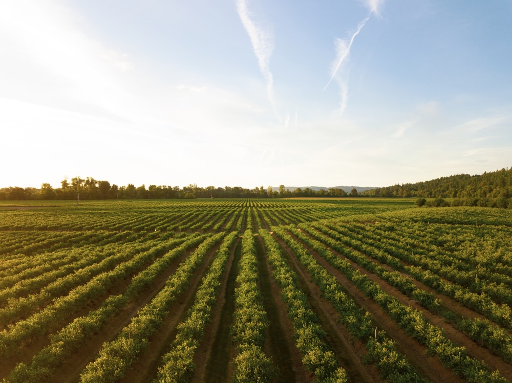 Farm Pictures Image