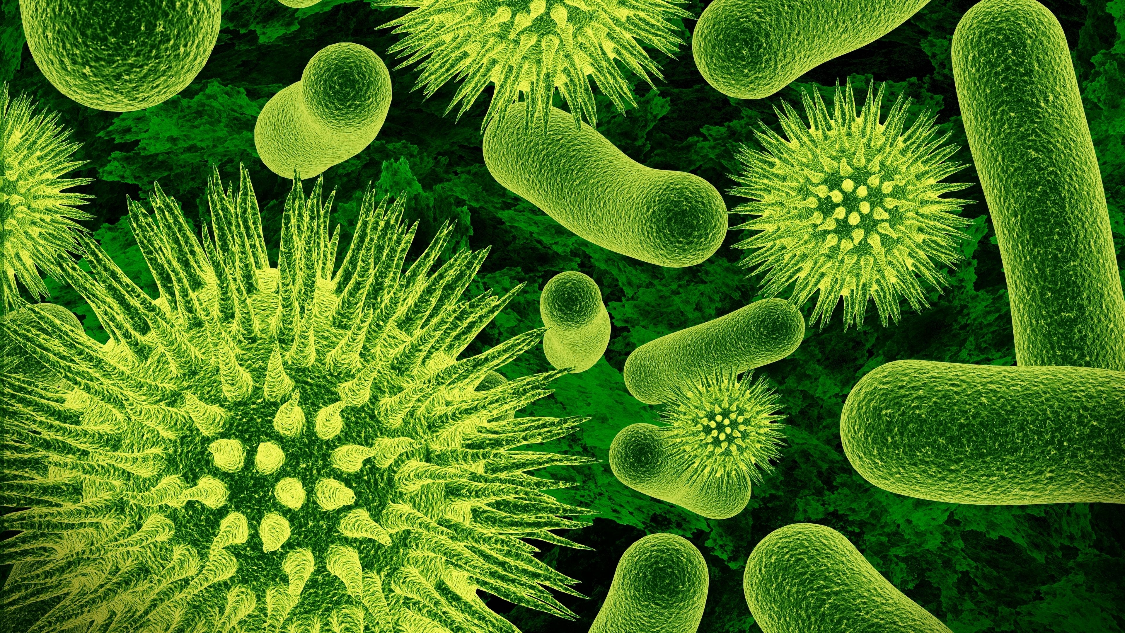 Germs Wallpaper Top Background