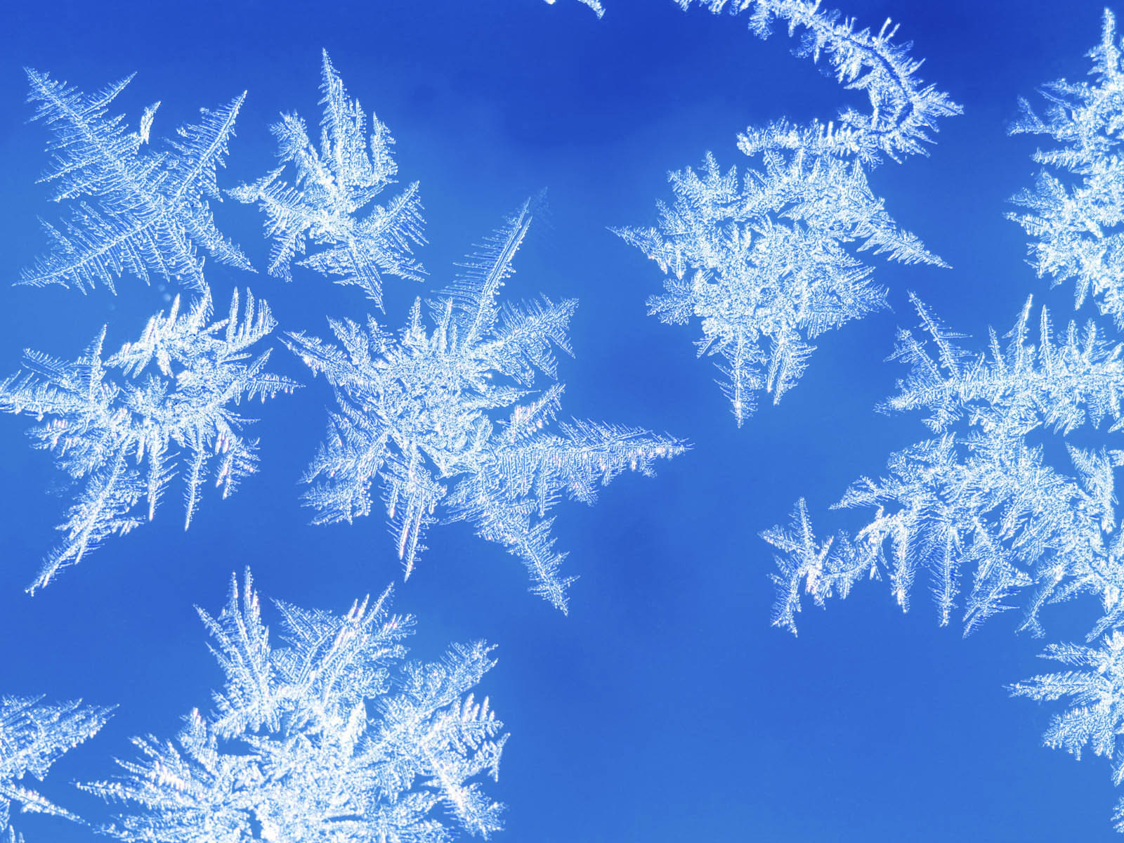 Snowflake Photo Desktop Pc And Mac Wallpaper